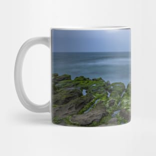 Taiwei Shimen Laomei Green Reef Algae Rock (老梅綠石槽) Mug